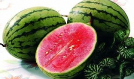 热门吃瓜今日必吃,热门吃瓜盘点，揭秘娱乐圈最新动态